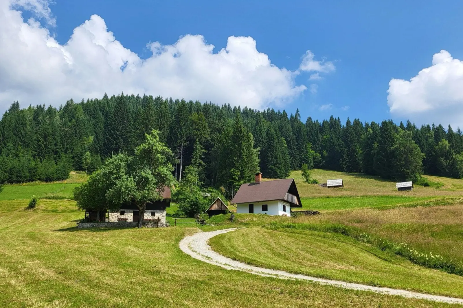 Maisons au bord d'une prairie, en lisière de forêt